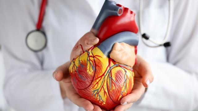 Beyond Cardiology - The Interplay of Mind and Heart in Health - A Perspective by Richard Zelman MD